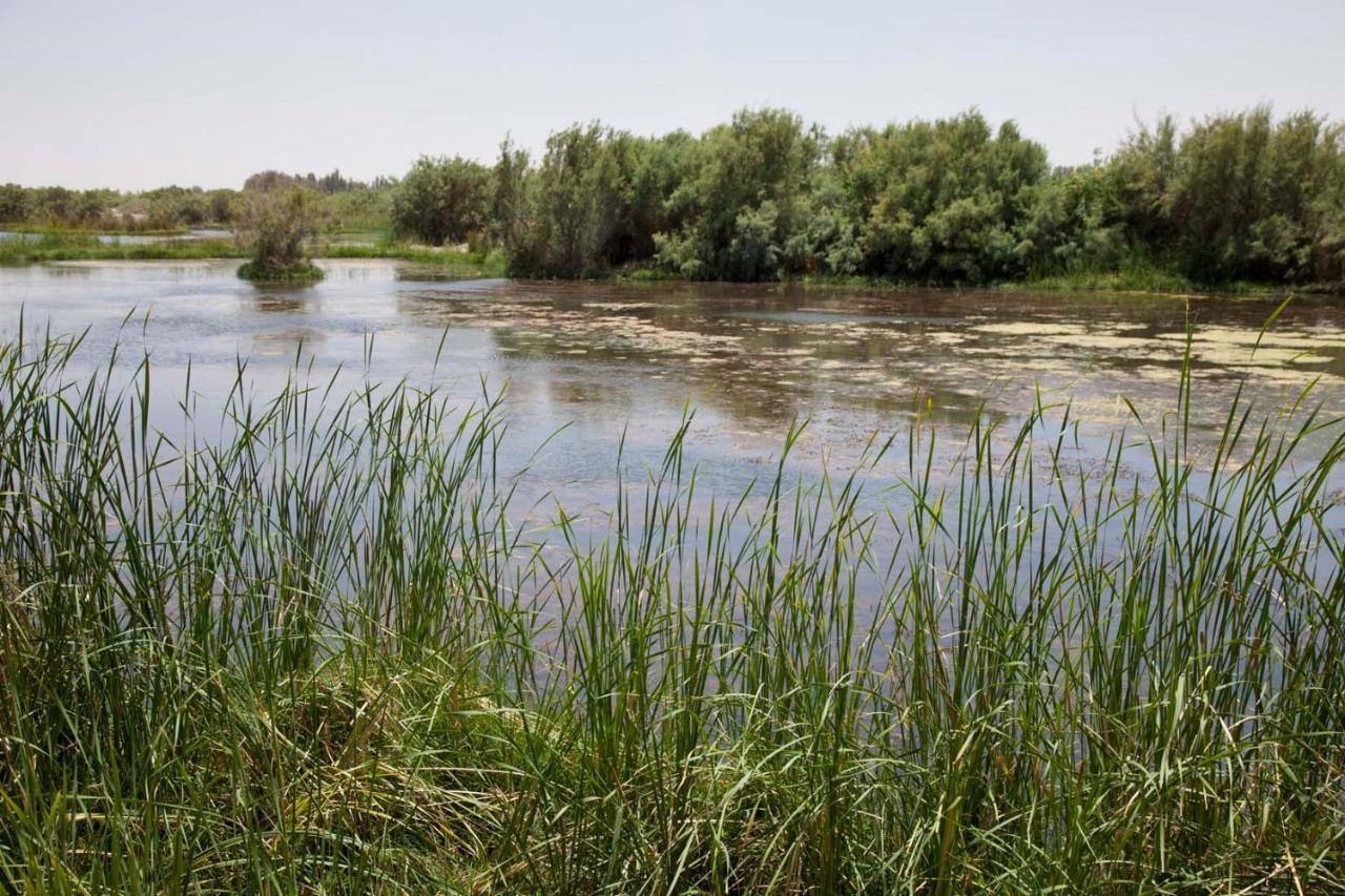 Azraq Lodge Al Azraq ash Shamālī 外观 照片