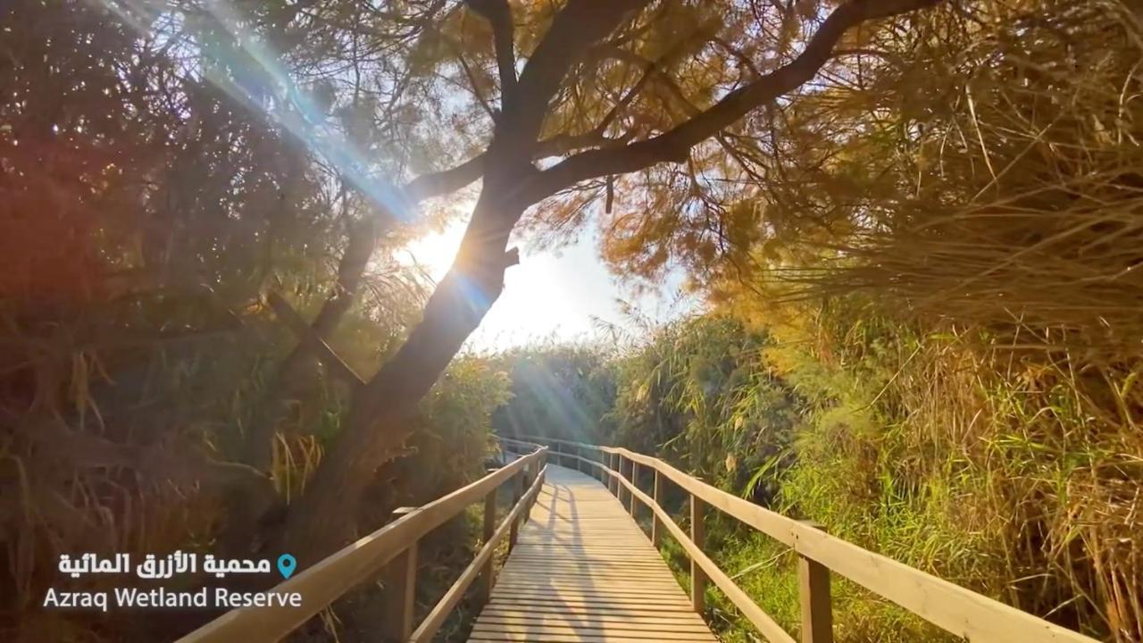 Azraq Lodge Al Azraq ash Shamālī 外观 照片