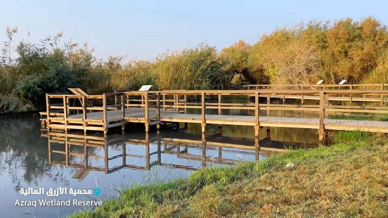 Azraq Lodge Al Azraq ash Shamālī 外观 照片