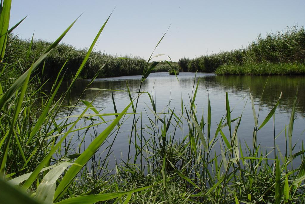 Azraq Lodge Al Azraq ash Shamālī 外观 照片
