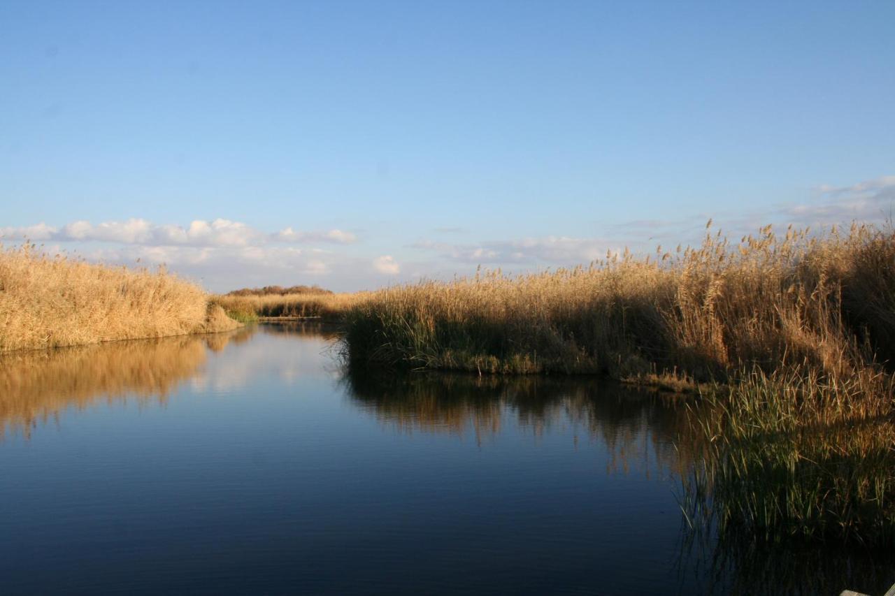 Azraq Lodge Al Azraq ash Shamālī 外观 照片